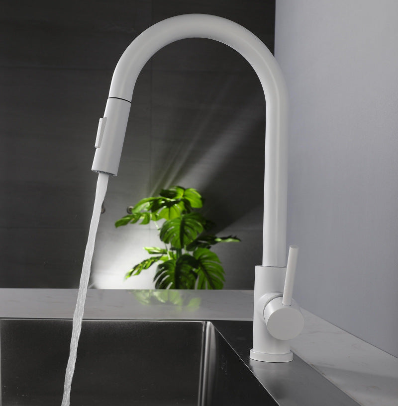 Pull-out Faucet Sink Basin Sink Rotating